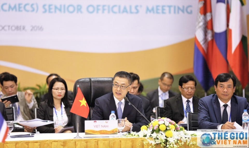 Thuc day xay dung tieu vung Mekong nang dong, thinh vuong hinh anh