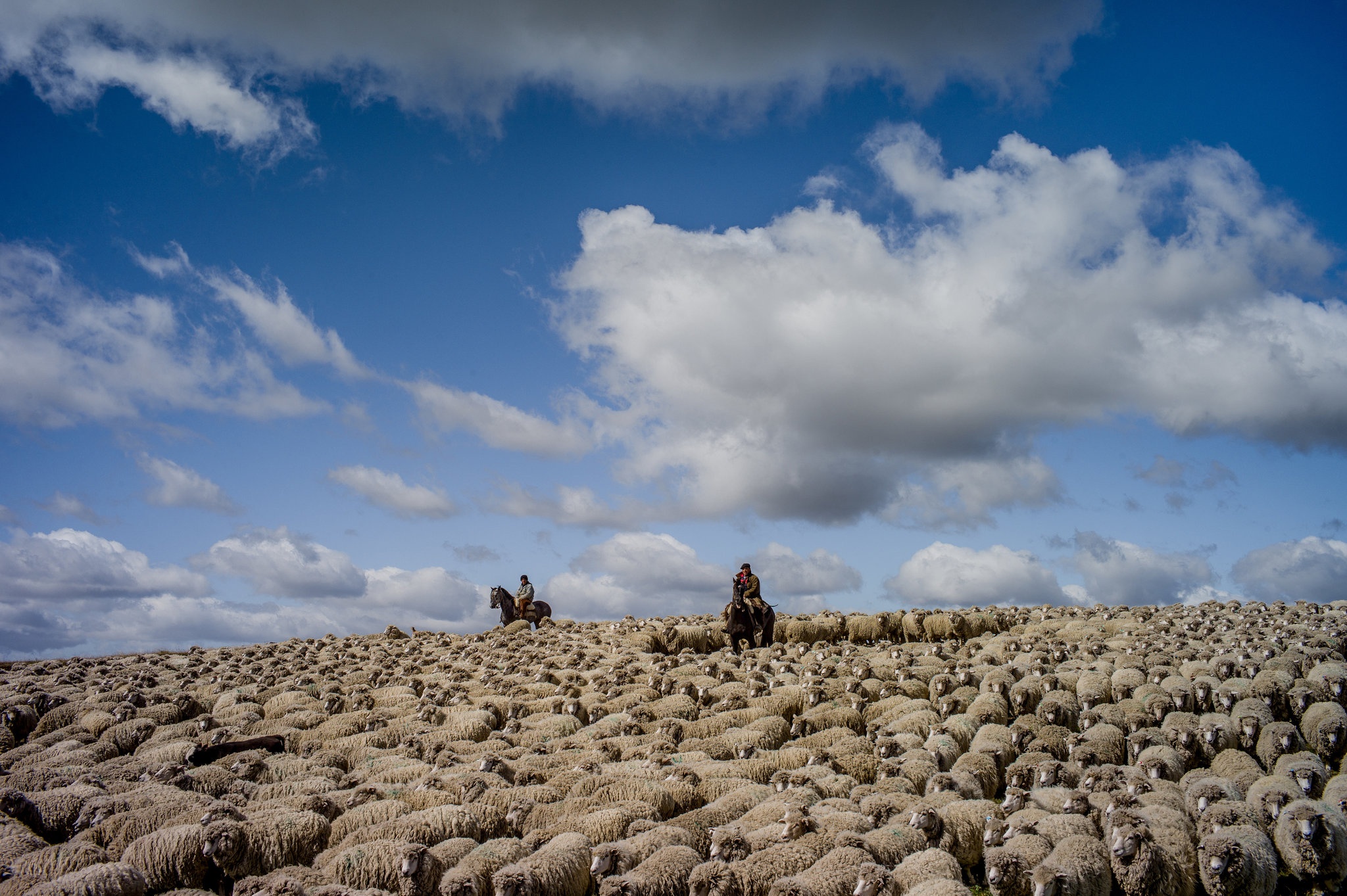 Nghe chan cuu o noi tan cung the gioi anh 1