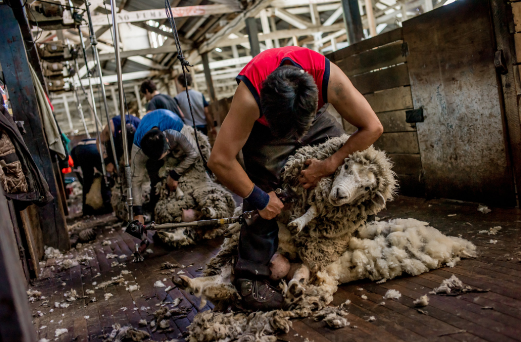 Nghe chan cuu o noi tan cung the gioi anh 9