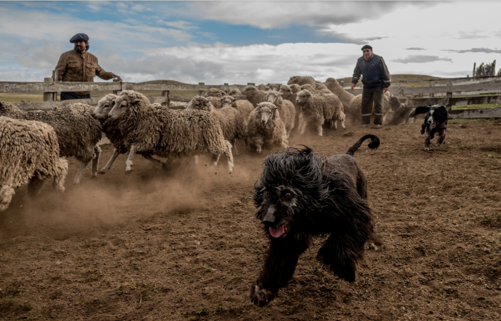 Nghe chan cuu o noi tan cung the gioi anh 8