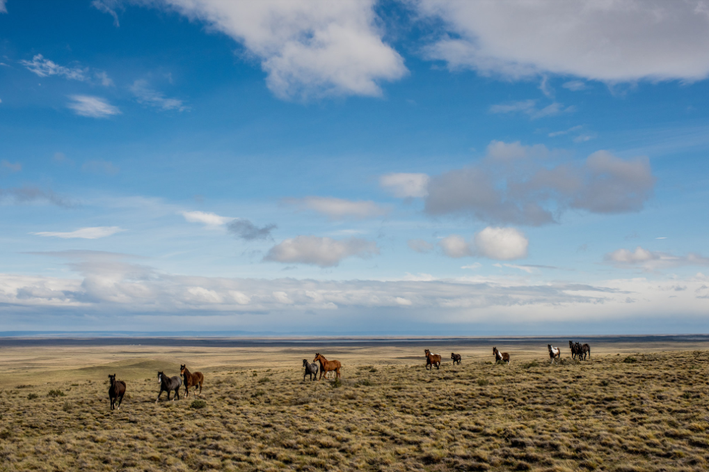 Nghe chan cuu o noi tan cung the gioi anh 11