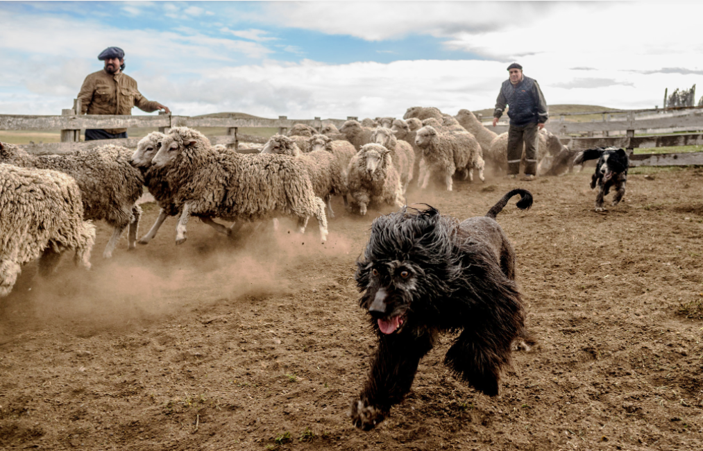 Cuoc song chan cuu o noi 'tan cung' cua the gioi hinh anh