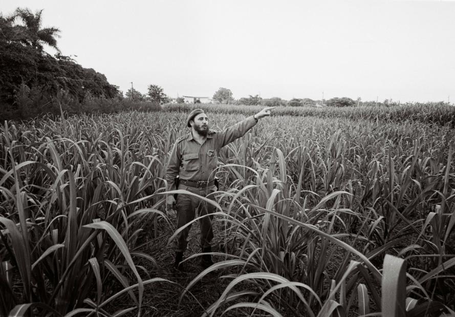 Fidel Castro va nhung khoanh khac lich su anh 6