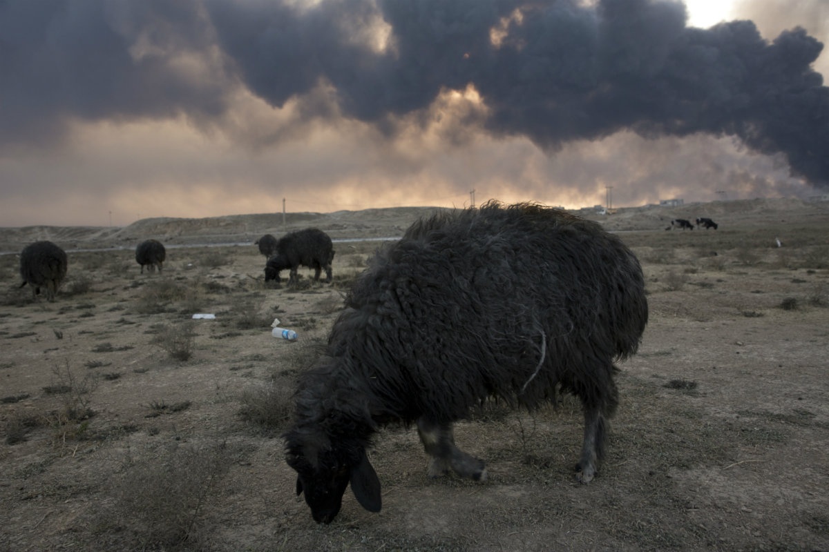 IS dot gieng dau anh 10