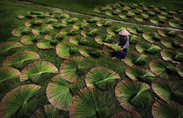 ảnh Việt Nam ảnh 3 anh Viet Nam anh 3