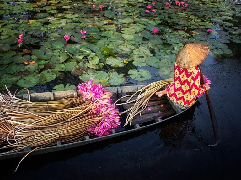 ảnh Việt Nam ảnh 7 anh Viet Nam anh 7