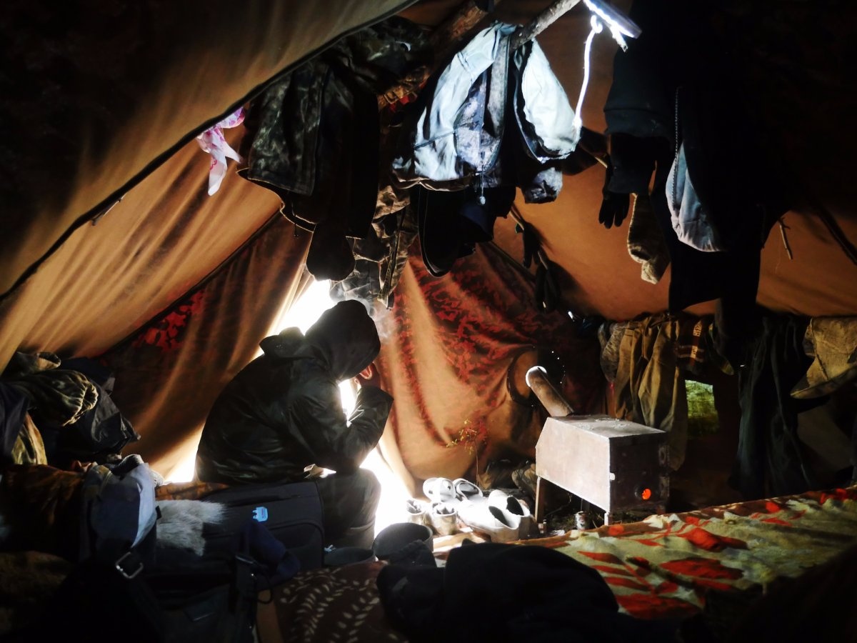 khai thac nga voi trai phep o Nga anh 8