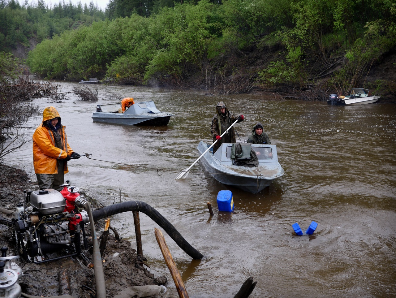 khai thac nga voi trai phep o Nga anh 5