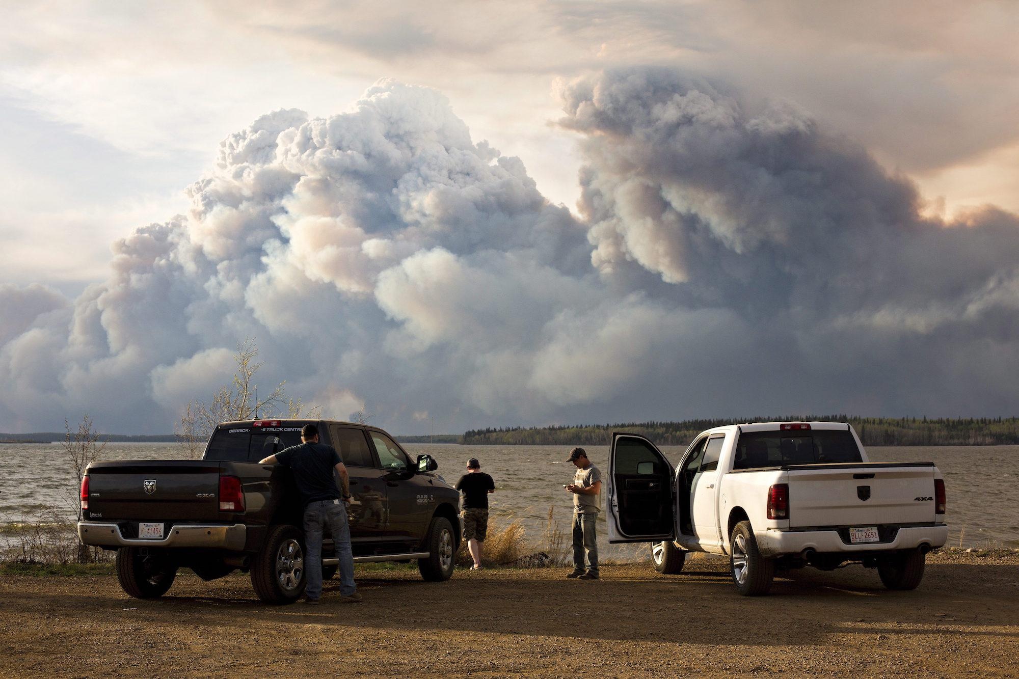 Suc tan pha kinh hoang cua tham hoa tu nhien nam 2016 hinh anh
