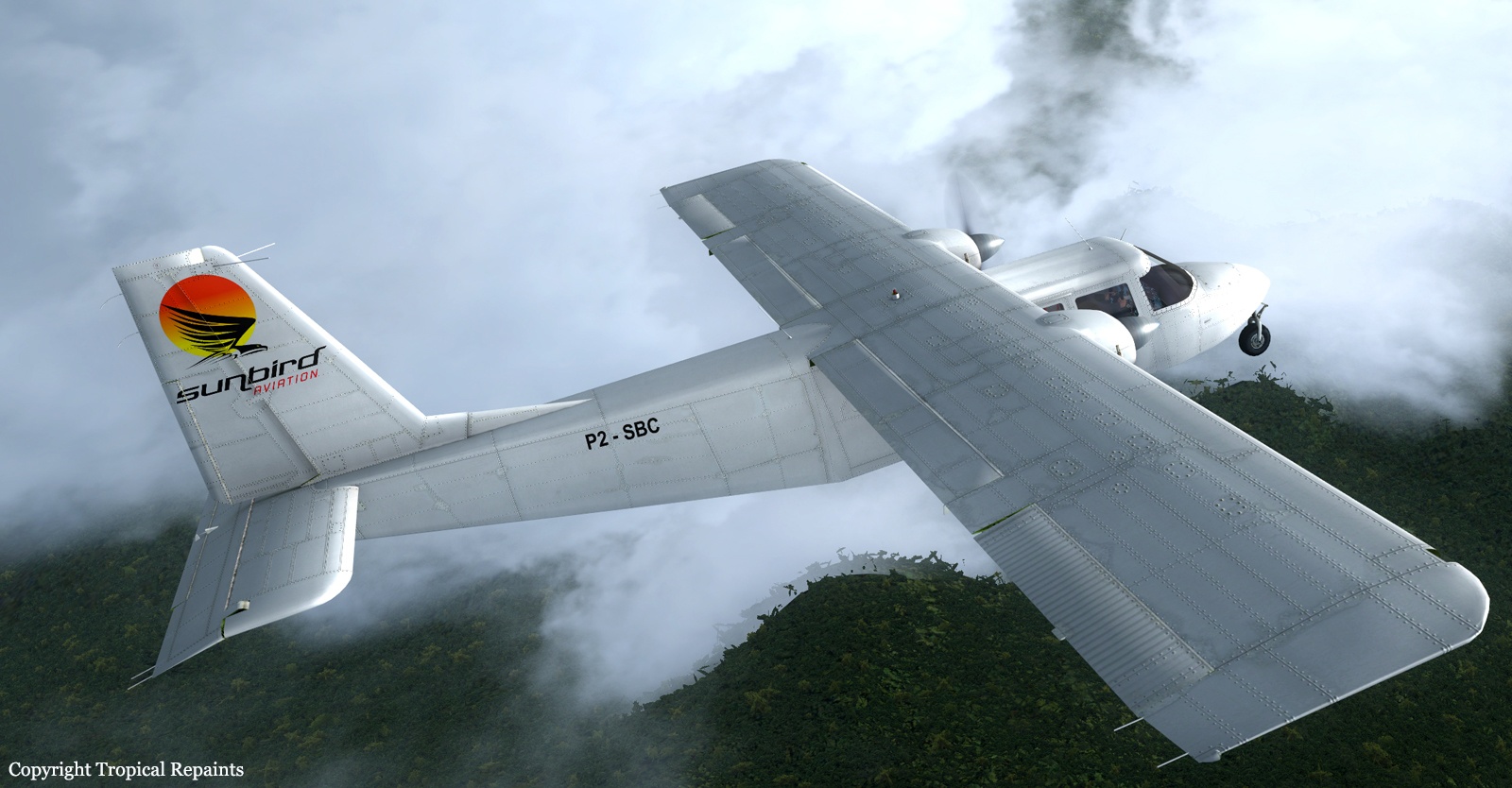 tai nan may bay 2016 anh 6