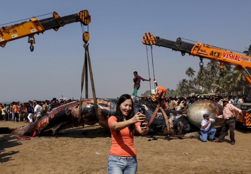 anh selfie ky la anh 6