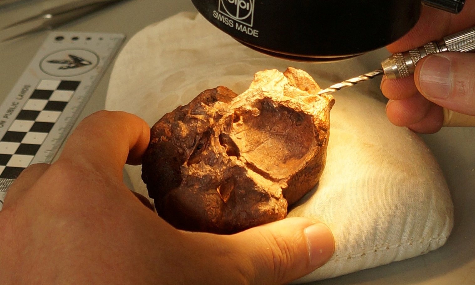 Phat hien hoa thach anh 3