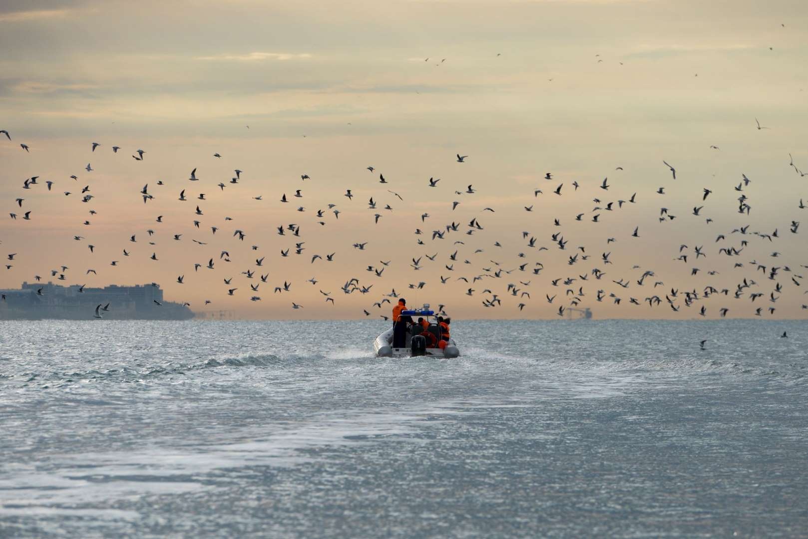 Anh noi bat cuoi nam 2016 anh 2