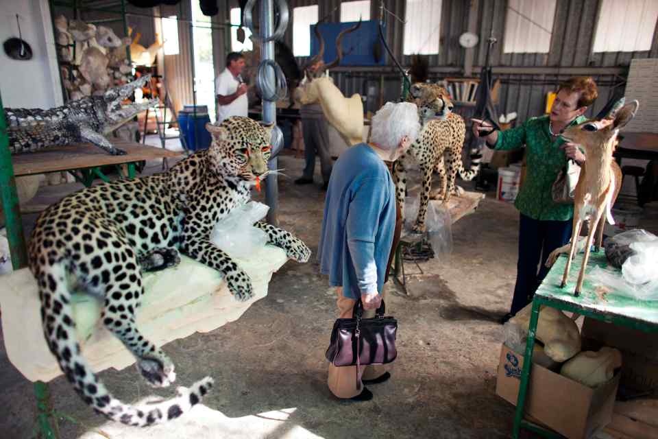 xuong nhoi xac dong vat anh 8