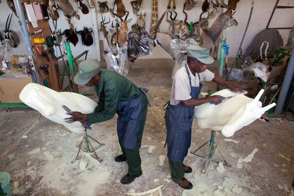 xuong nhoi xac dong vat anh 6