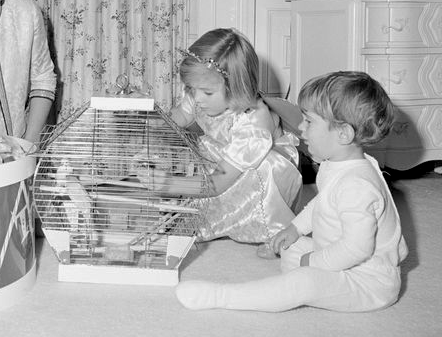 thu cung cua tong thong My anh 9