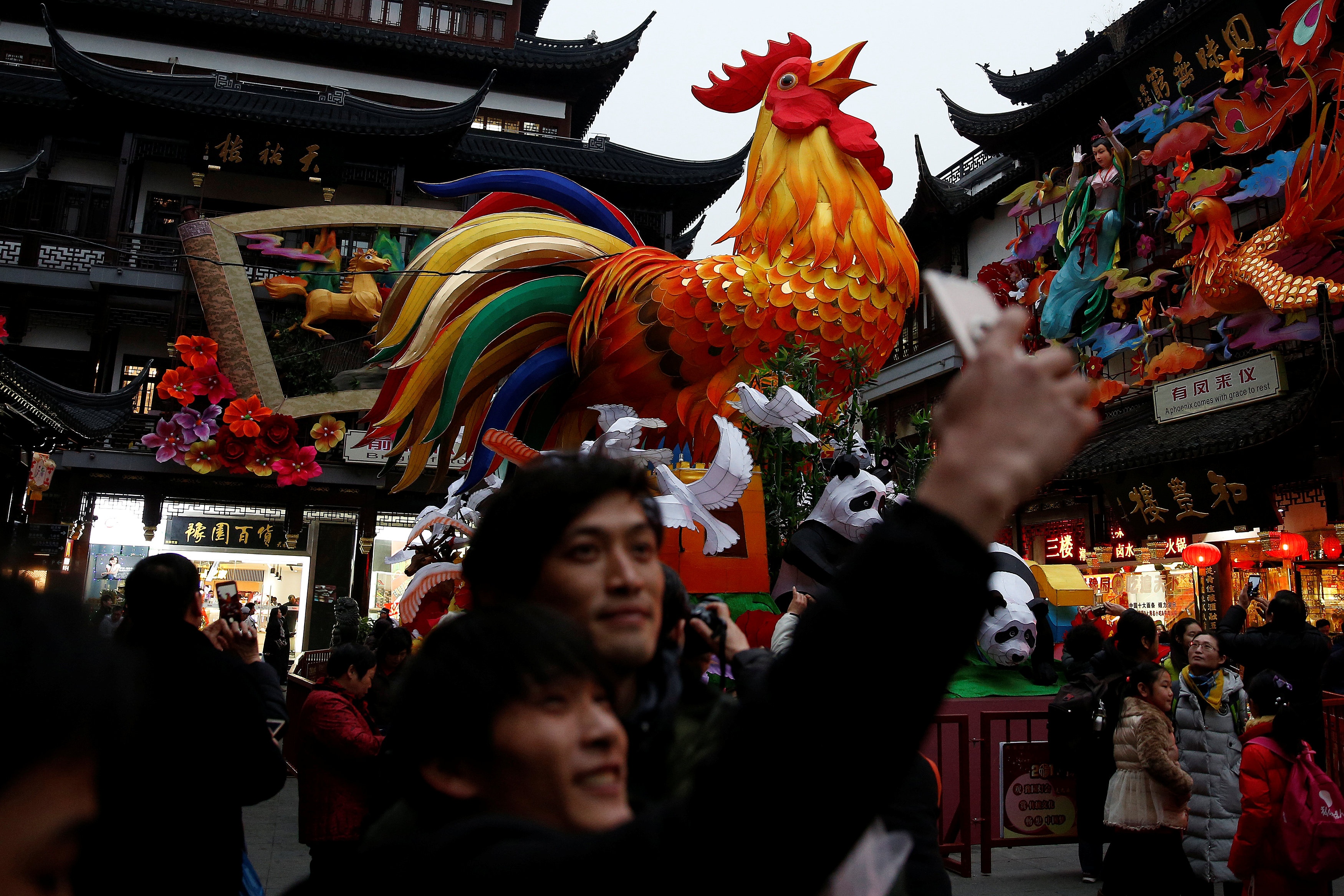 nam moi Dinh Dau 2017 anh 7