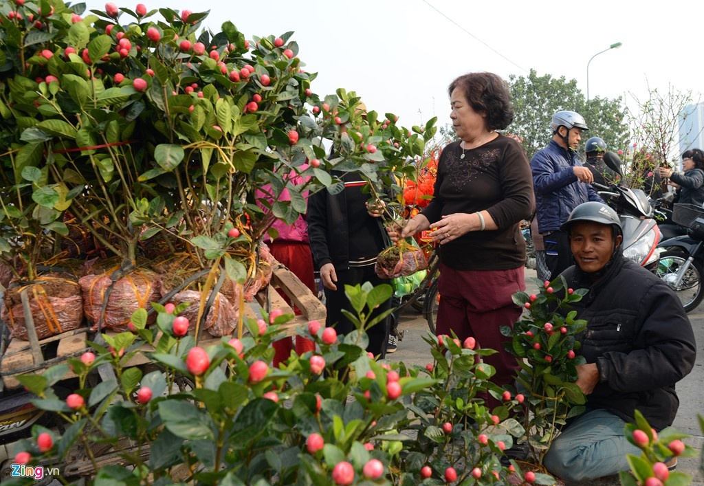nguoi nuoc ngoai don Tet Viet anh 1