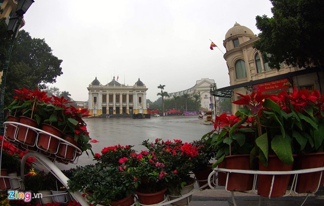 nguoi nuoc ngoai don Tet Viet anh 2