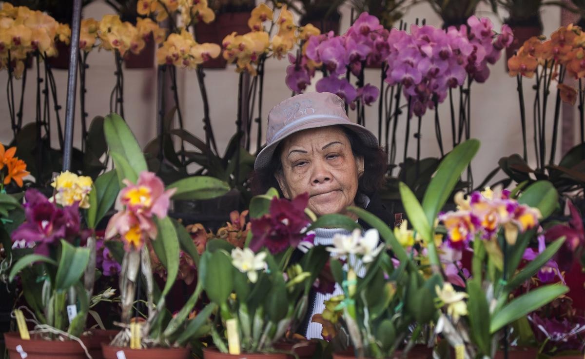 Viet kieu don Tet 2017 anh 1