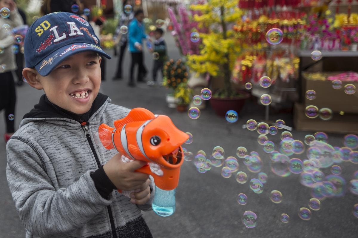 Viet kieu don Tet 2017 anh 4