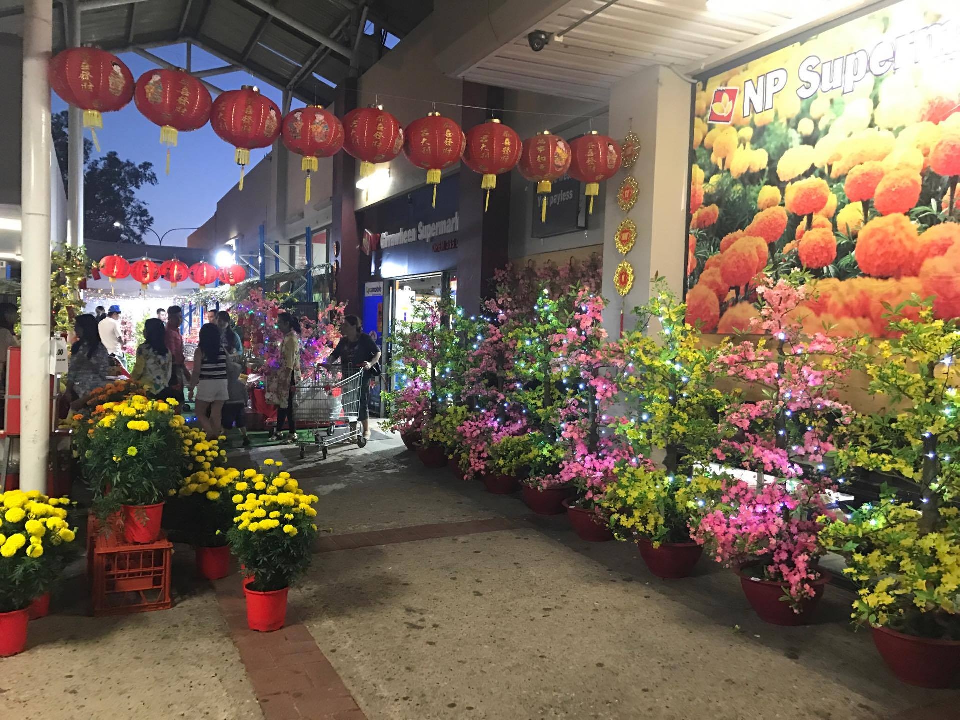 Viet kieu don Tet 2017 anh 7