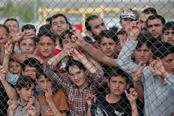 Dan ti nan kho so vi Trump noi gian voi Australia hinh anh