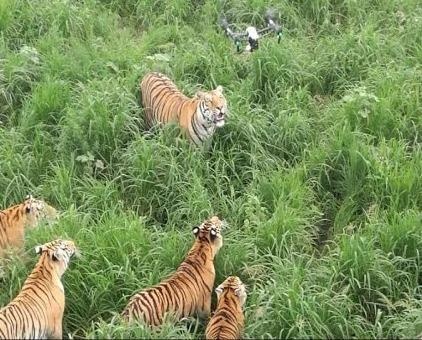 Ho o cong vien Cap Nhi Tan nham flycam la con moi hinh anh