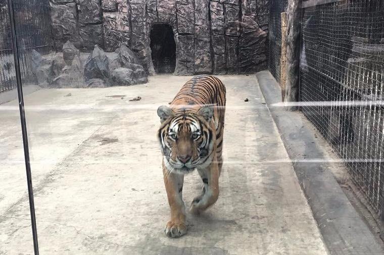 5 ngay dao quanh Binh Nhuong cua 3 nha bao My hinh anh