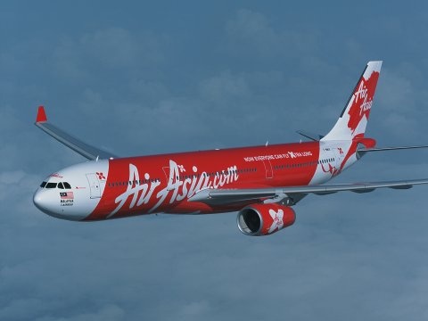 Chim lao vao dong co, may bay AirAsia ha canh khan cap hinh anh