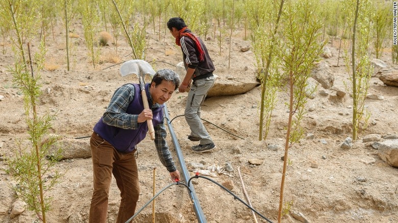 Tháp băng giữa sa mạc ảnh 7 Thap bang giua sa mac anh 7