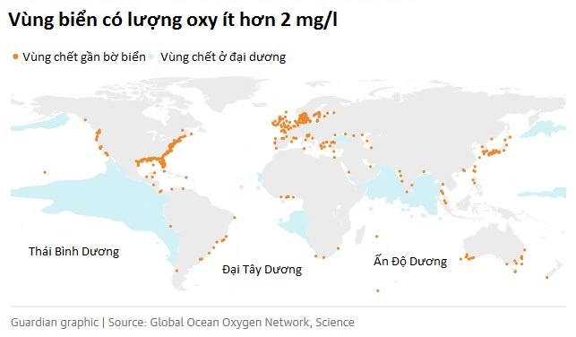 dai duong ngat tho anh 2
