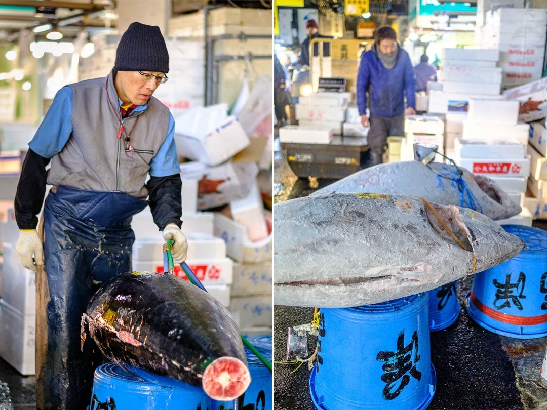 Cho ca Tsukiji anh 11