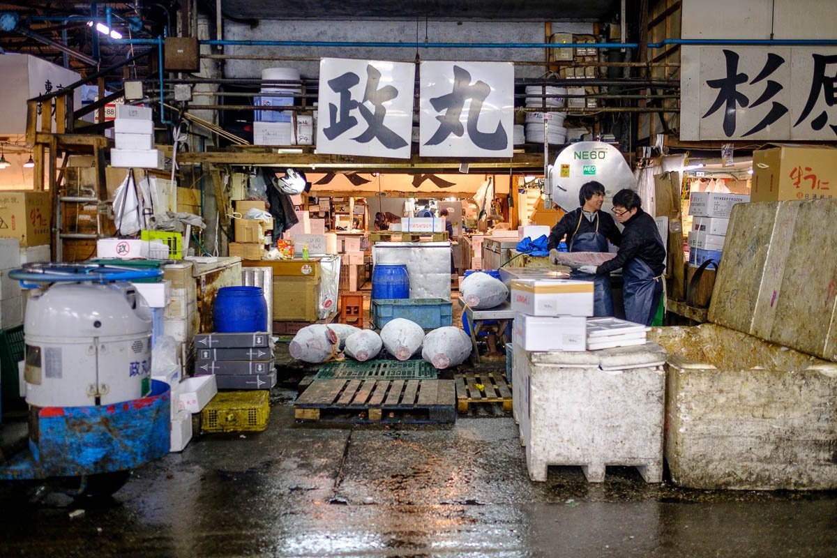 Cho ca Tsukiji anh 4