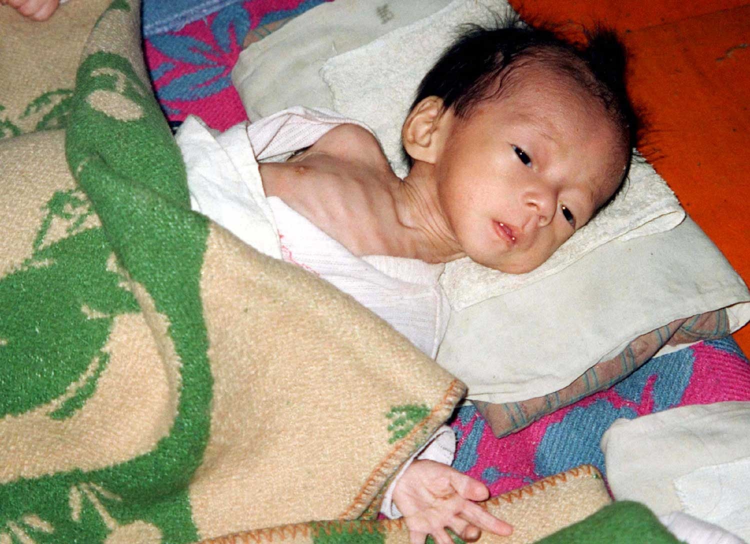 Quần áo làm từ đá ở Triều Tiên ảnh 4 Quan ao lam tu da o Trieu Tien anh 4