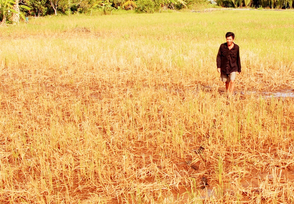 Trung Quốc hứa xả lũ cứu hạn đồng bằng sông Cửu Long ảnh 1 Trung Quoc hua xa lu cuu han dong bang song Cuu Long anh 1