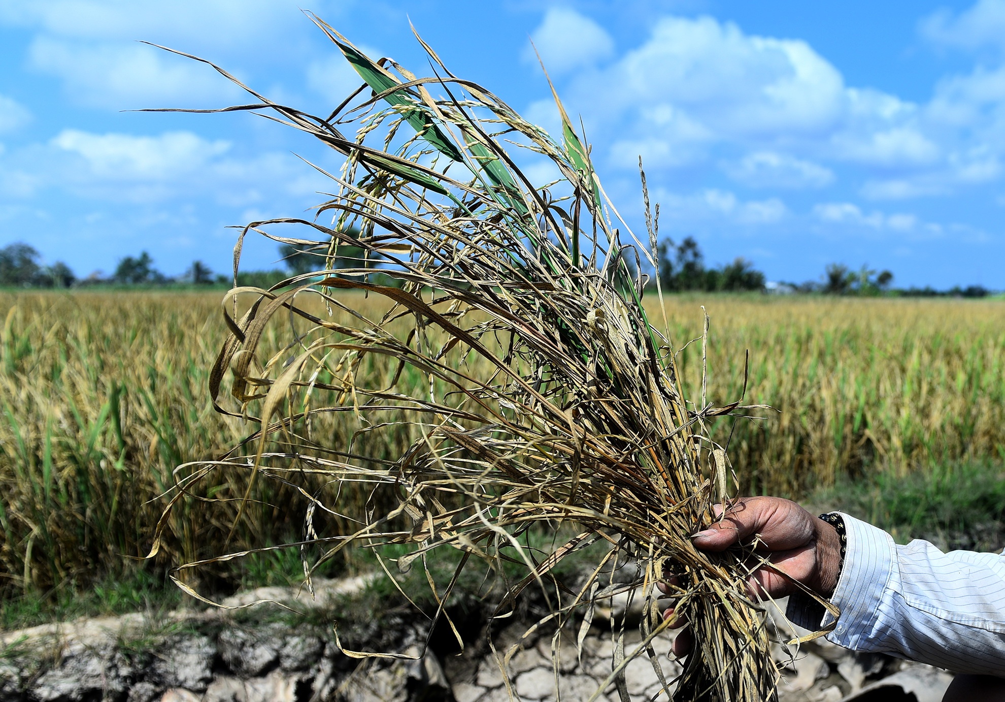 Cac nuoc dang bam nat dong Mekong hinh anh