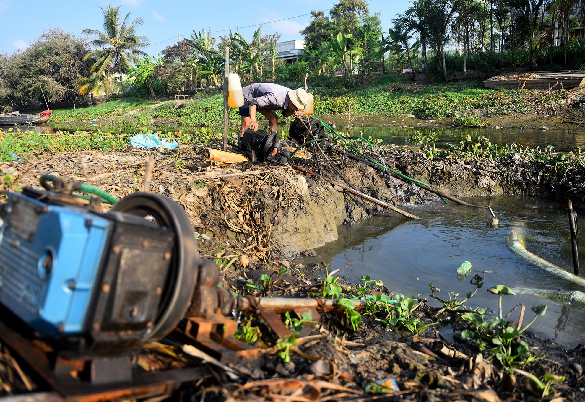 nguyen nhan dan toi tham hoa han,  man tai dong bang song Cuu Long anh 1