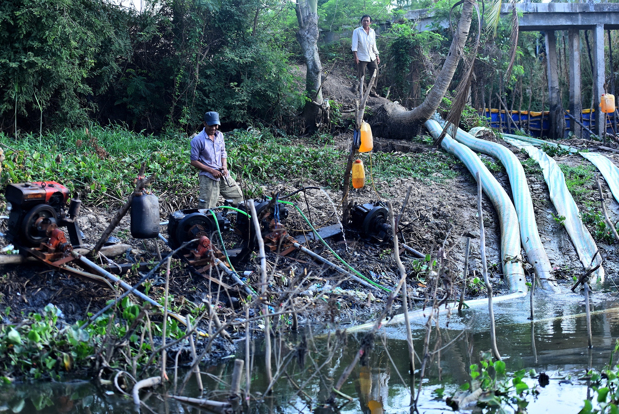 nguyen nhan dan toi tham hoa han,  man tai dong bang song Cuu Long anh 2