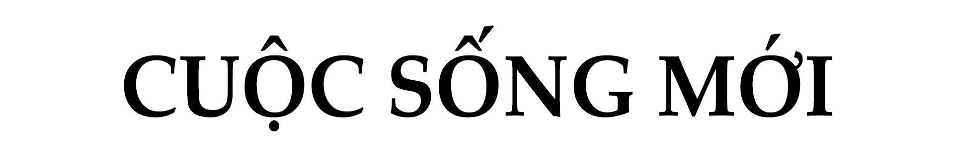 Bà mẹ đơn thân Angelina Jolie ảnh 7 Ba me don than Angelina Jolie anh 7