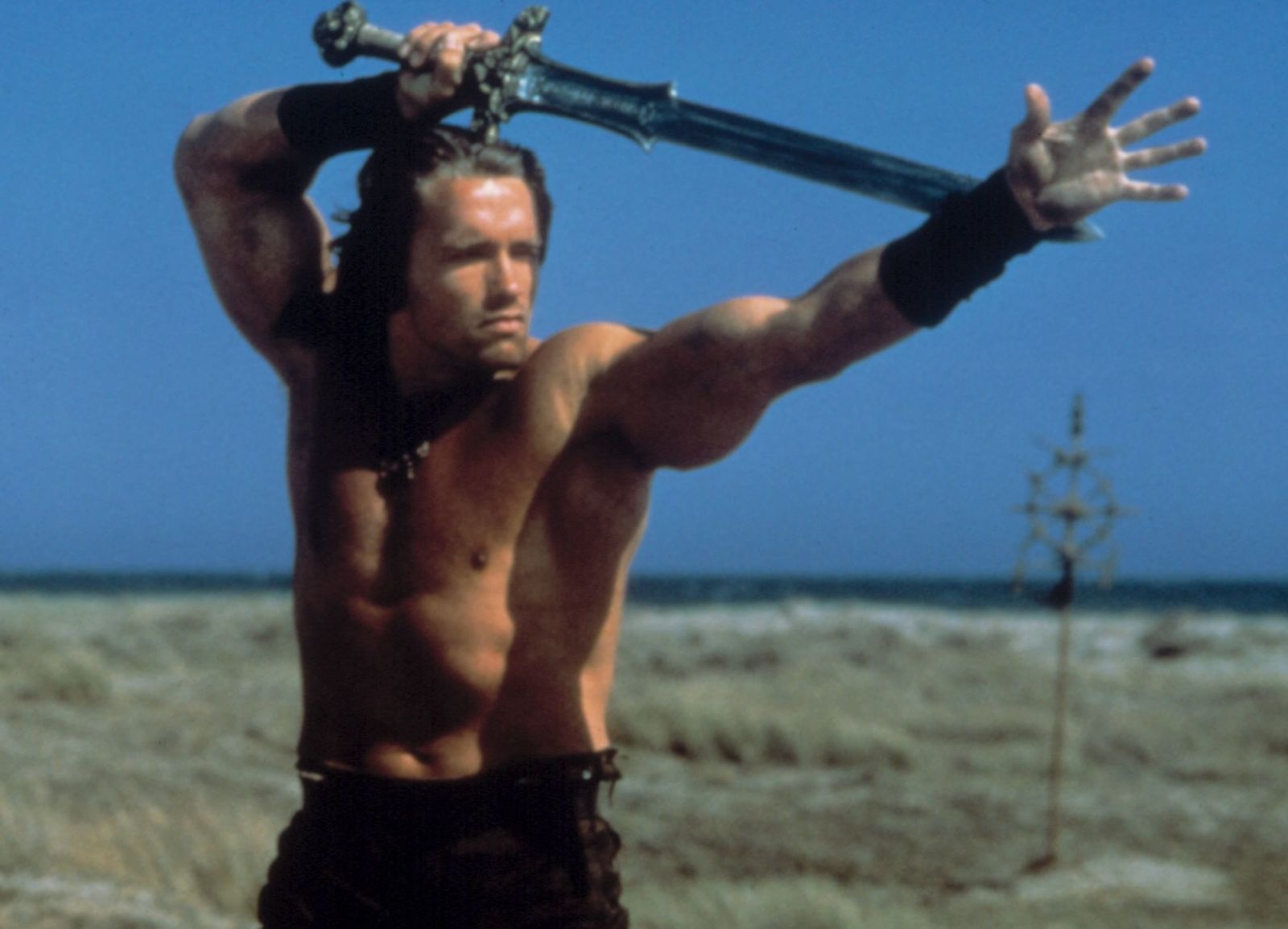 Vai diễn biểu tượng của Arnold Schwarzenegger  ảnh 1 Vai dien bieu tuong cua Arnold Schwarzenegger anh 1