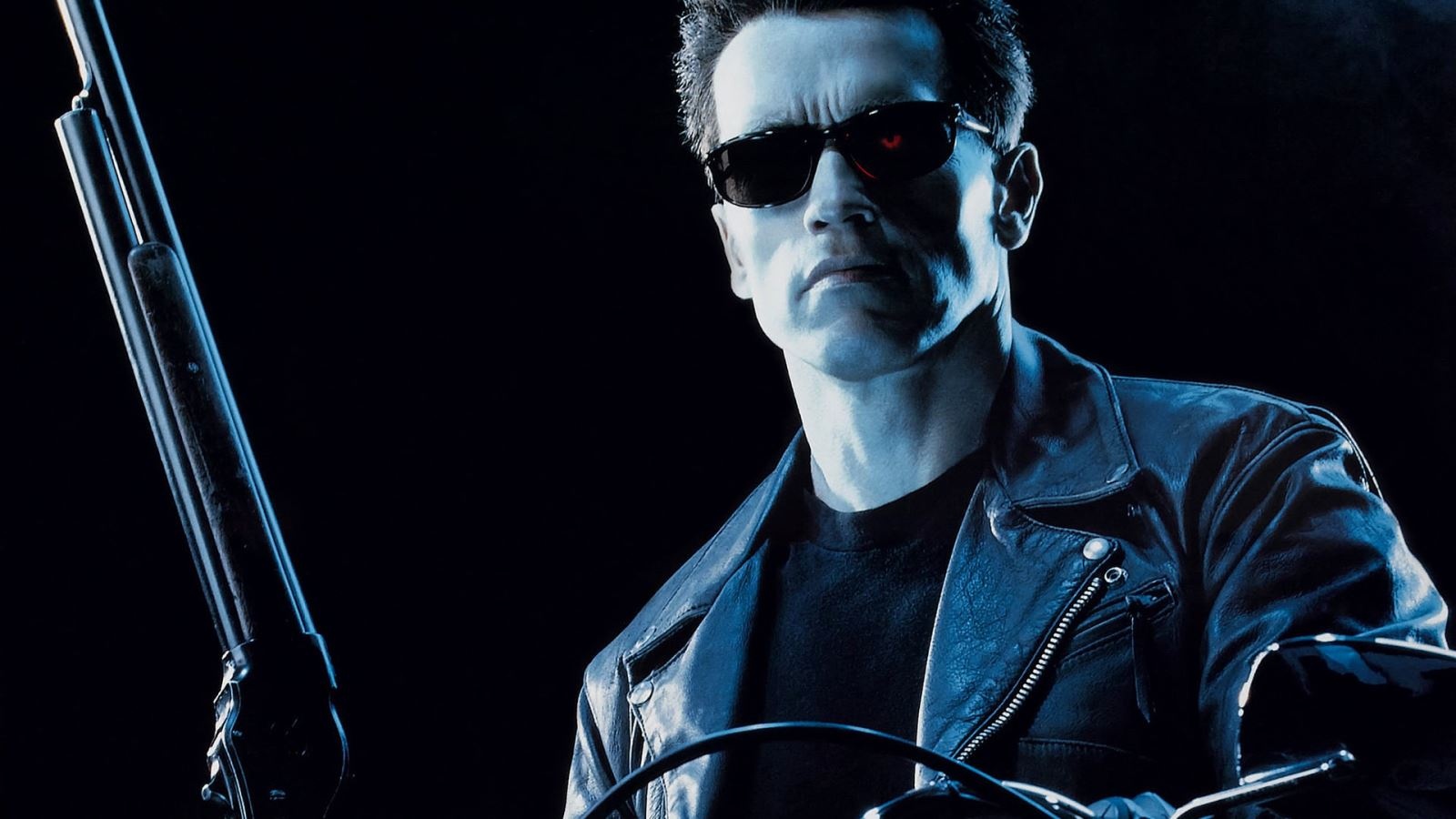 Vai diễn biểu tượng của Arnold Schwarzenegger  ảnh 2 Vai dien bieu tuong cua Arnold Schwarzenegger anh 2