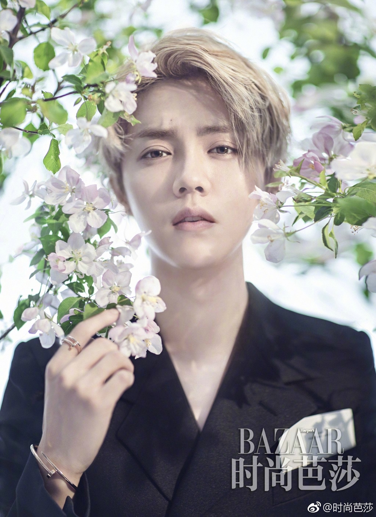 Trieu Le Dinh la sao hot nhat Trung Quoc anh 10