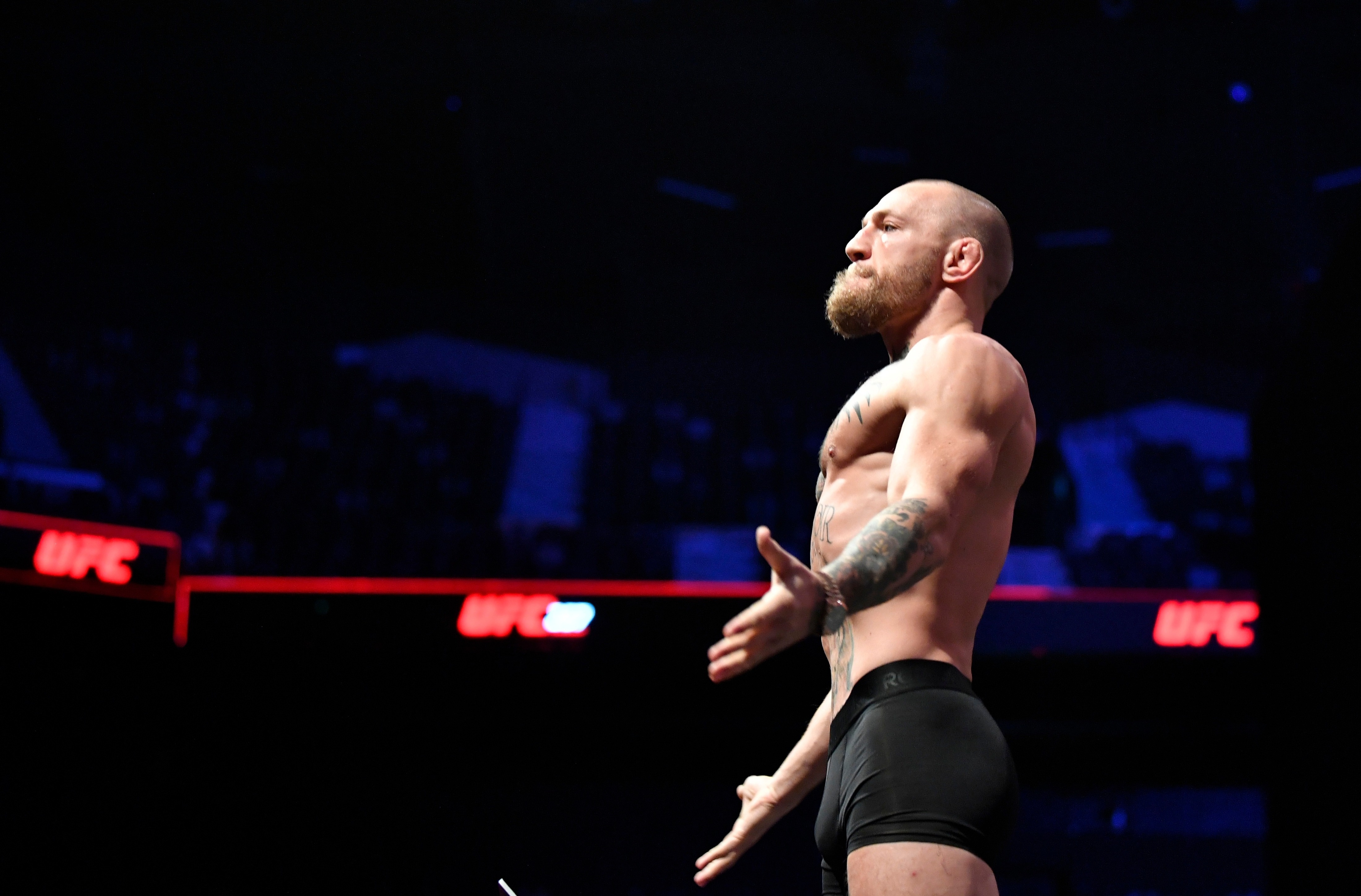 Conor McGregor anh 1