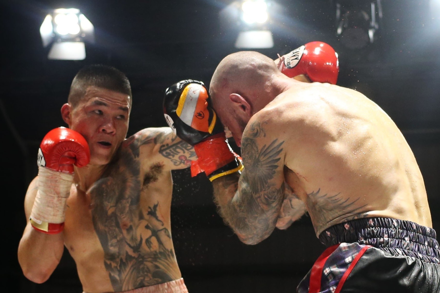 Truong Dinh Hoang thang doi thu nhap tich Viet Nam hinh anh