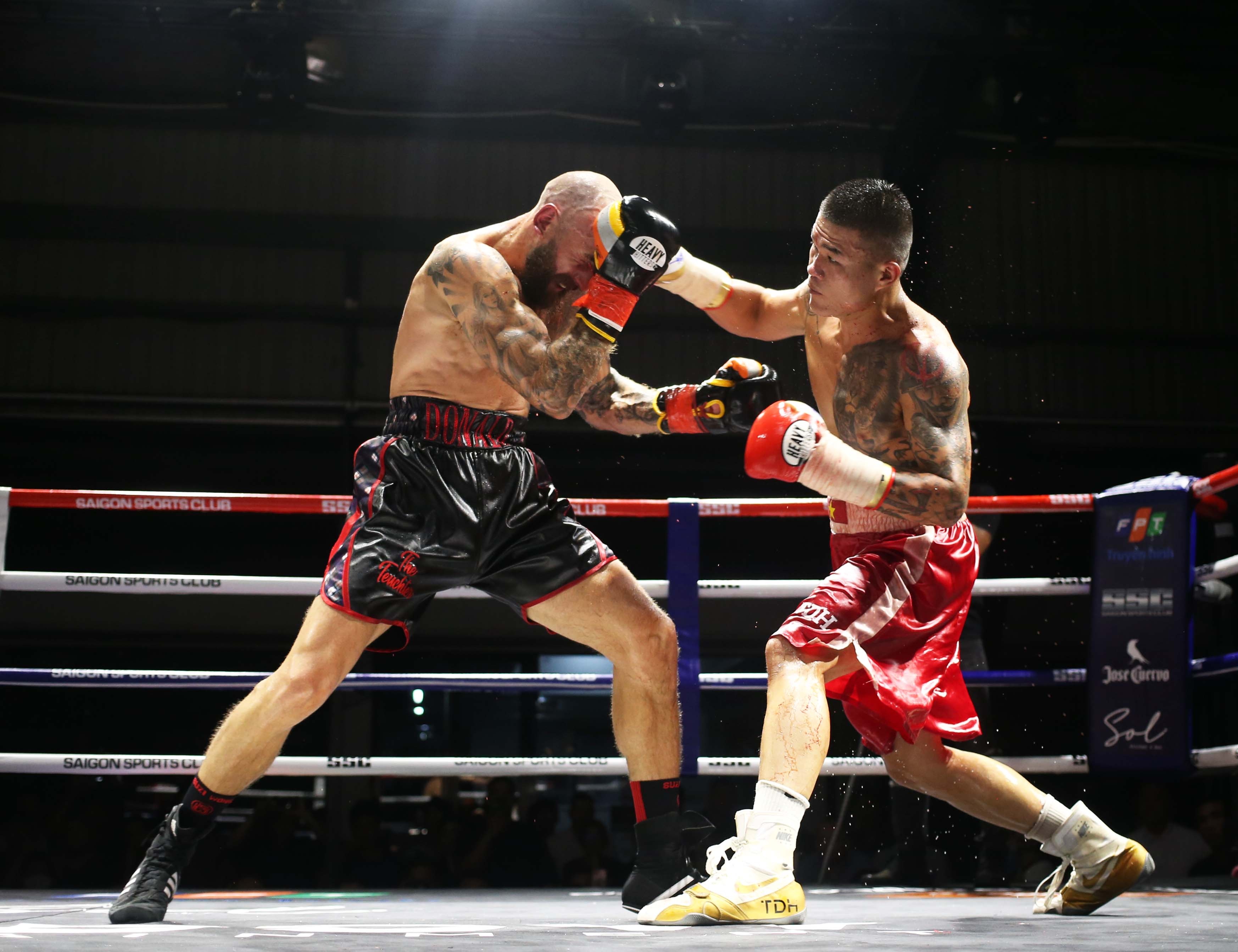 Truong Dinh Hoang anh 1