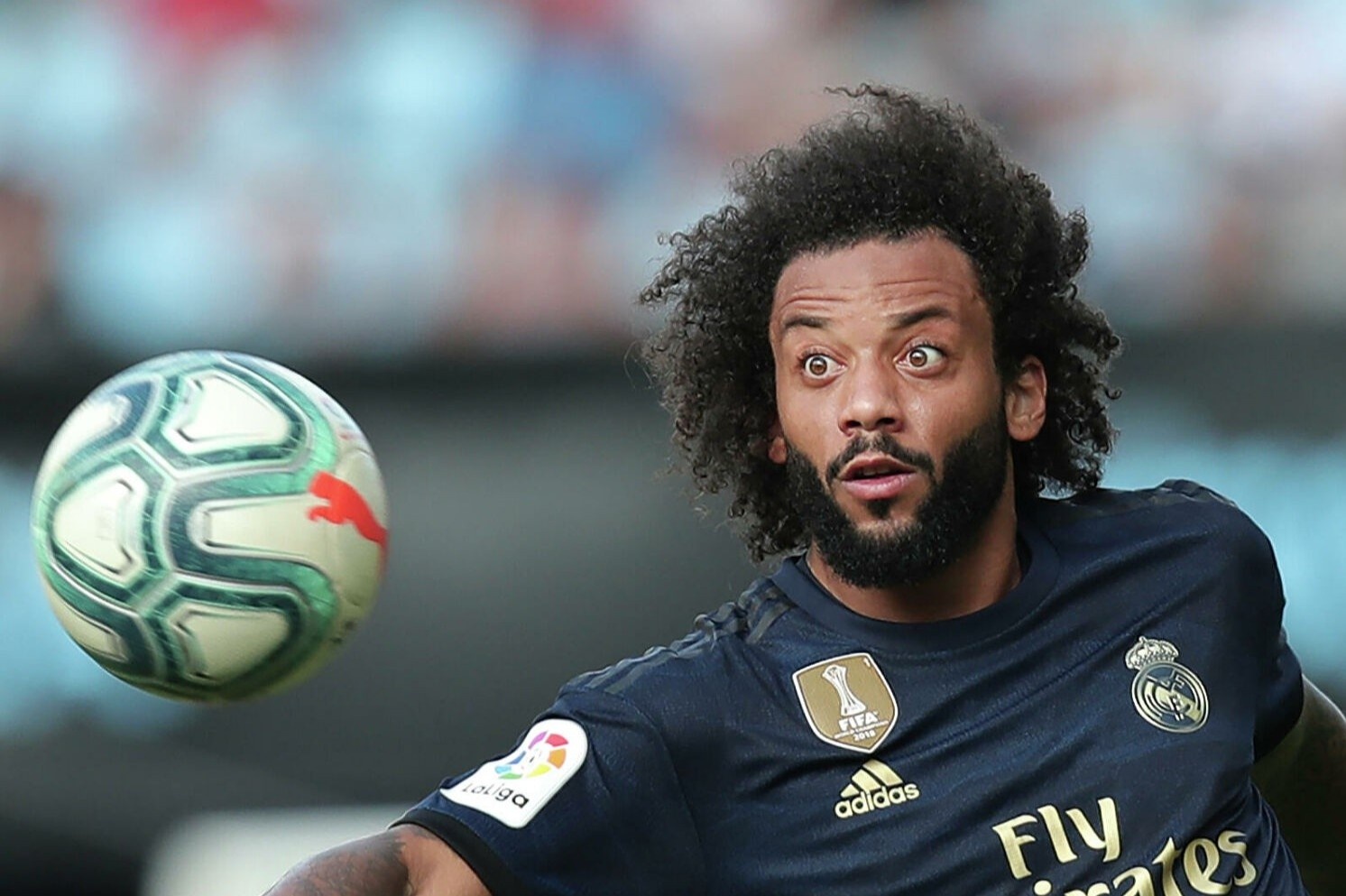 Marcelo vo ky luat hinh anh