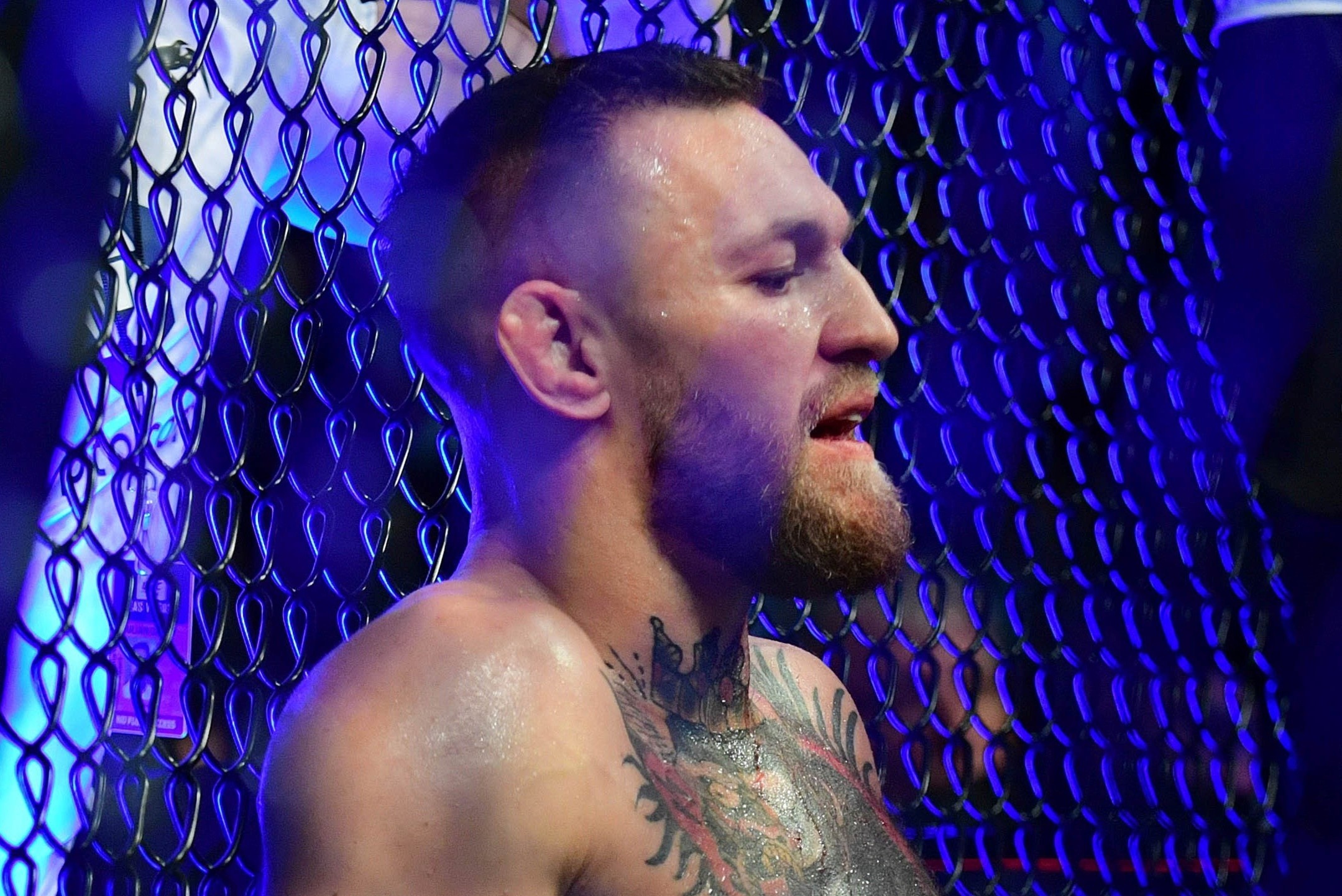 Bi kich cua Conor McGregor hinh anh