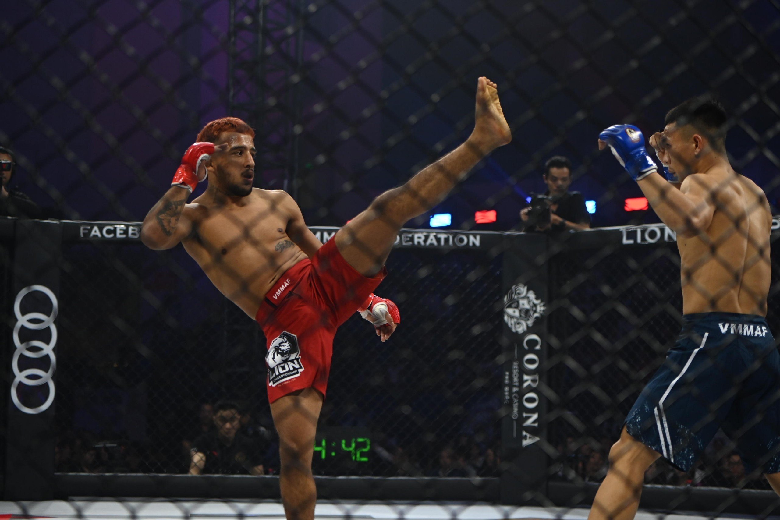 LION Championship 11 anh 2