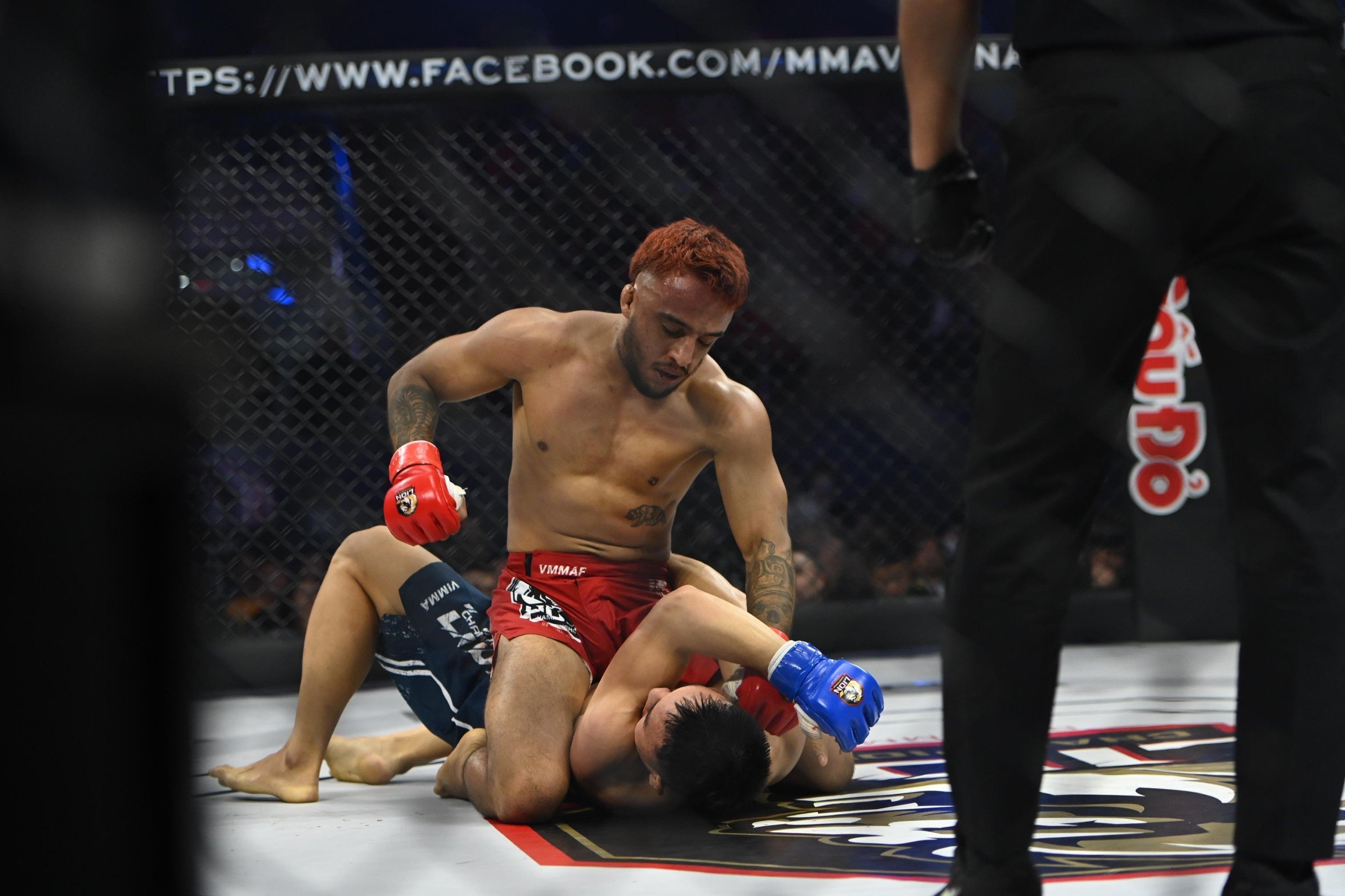 LION Championship 11 anh 1